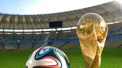 华体会体育娱乐