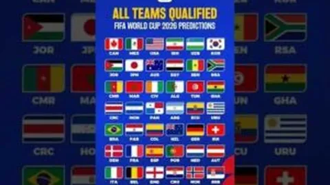 华体会体育娱乐