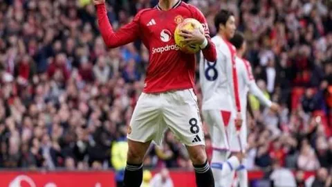 华体会体育娱乐